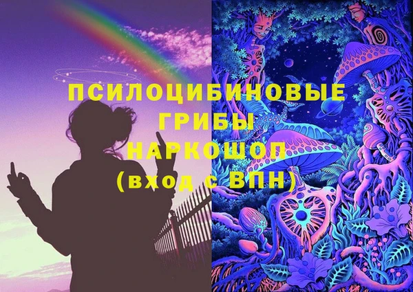 ешки Бикин