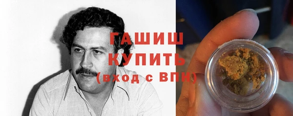 индика Михайловск