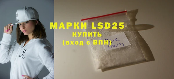 индика Билибино