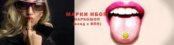 индика Михайловск
