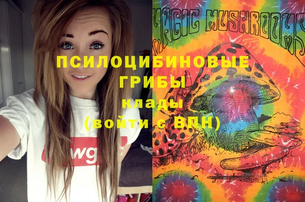 индика Михайловск