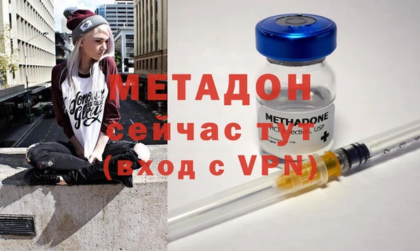 индика Михайловск