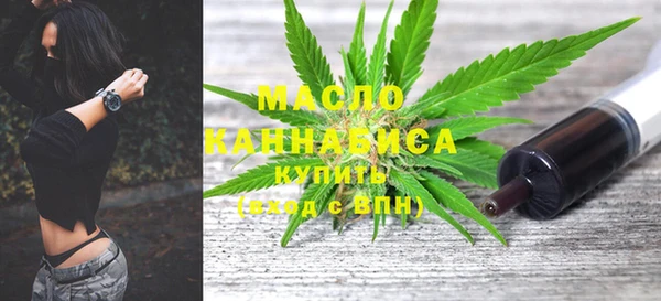 индика Михайловск