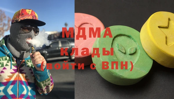 индика Михайловск
