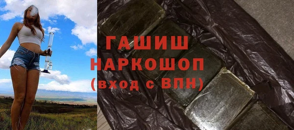 индика Михайловск