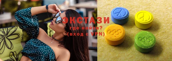 индика Михайловск