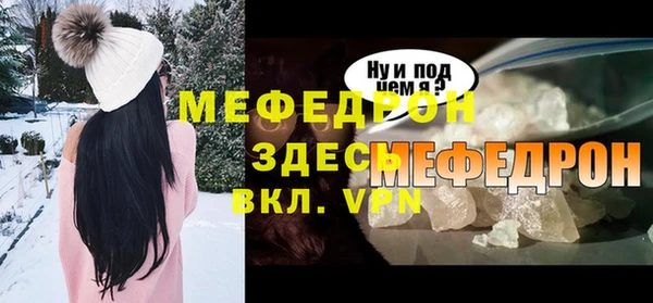 индика Михайловск