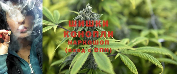 сатива Богородицк