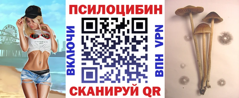 Псилоцибиновые грибы MAGIC MUSHROOMS  Болохово 